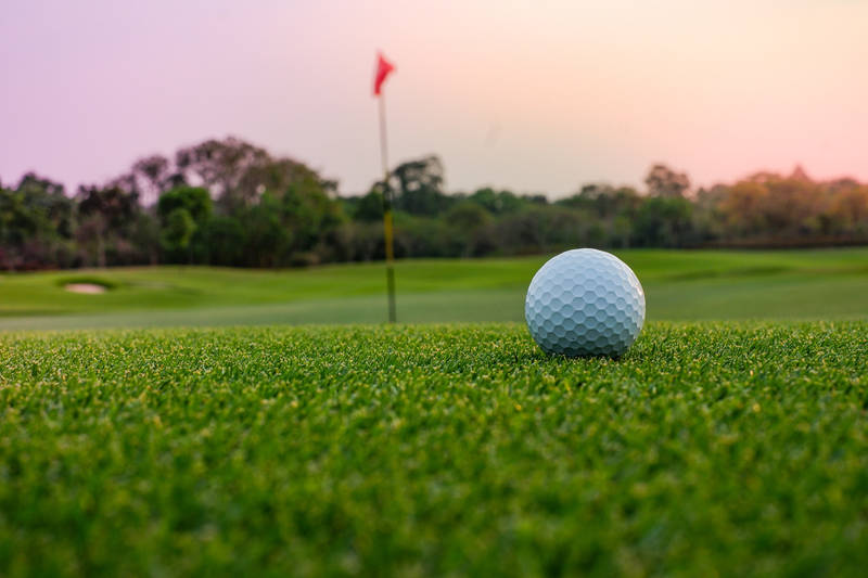 Sports Facilities, Golf Courses, and Swimming Pools